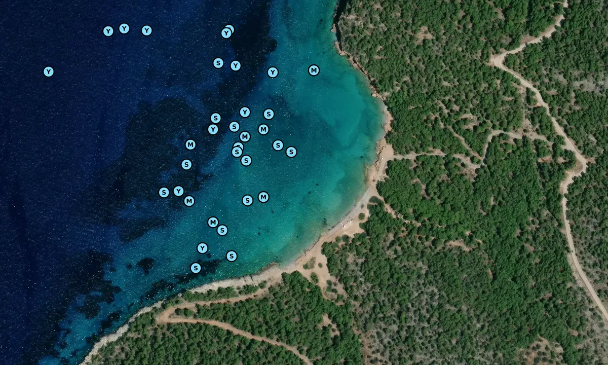 Satelite image of Dragonera Beach
