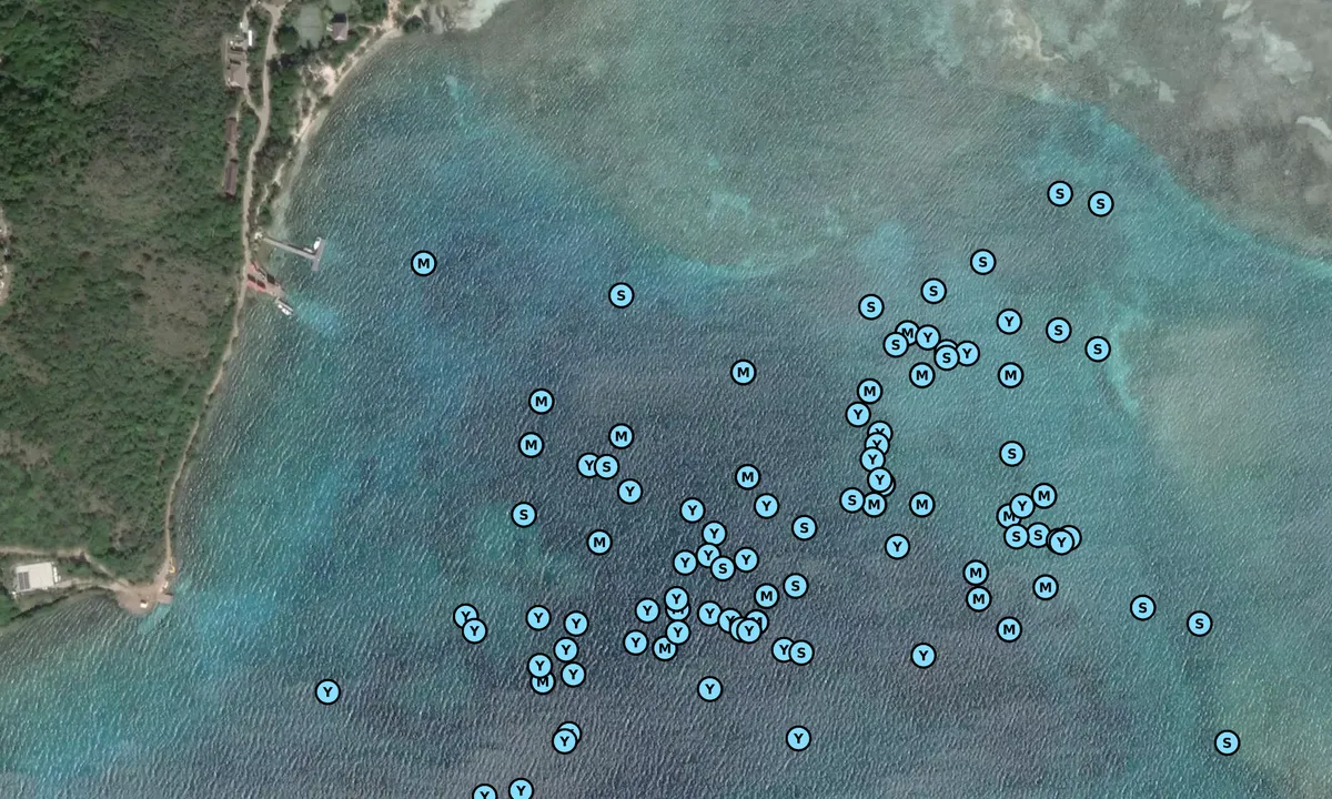 Satelite image of Drake's Anchorage