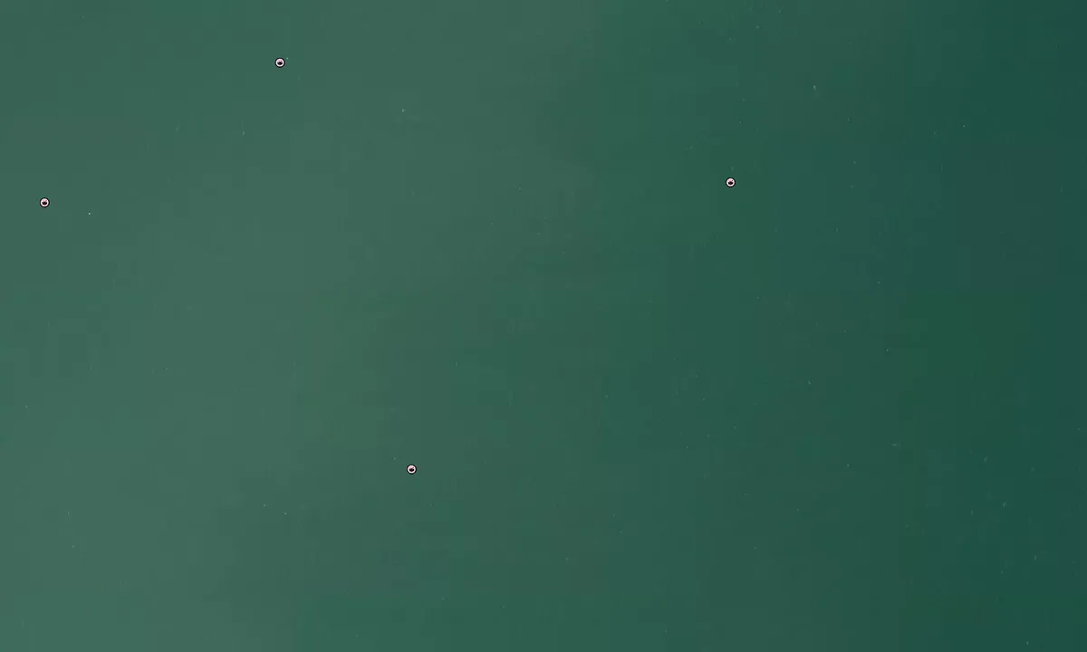 Flyfoto av Drayton Harbor