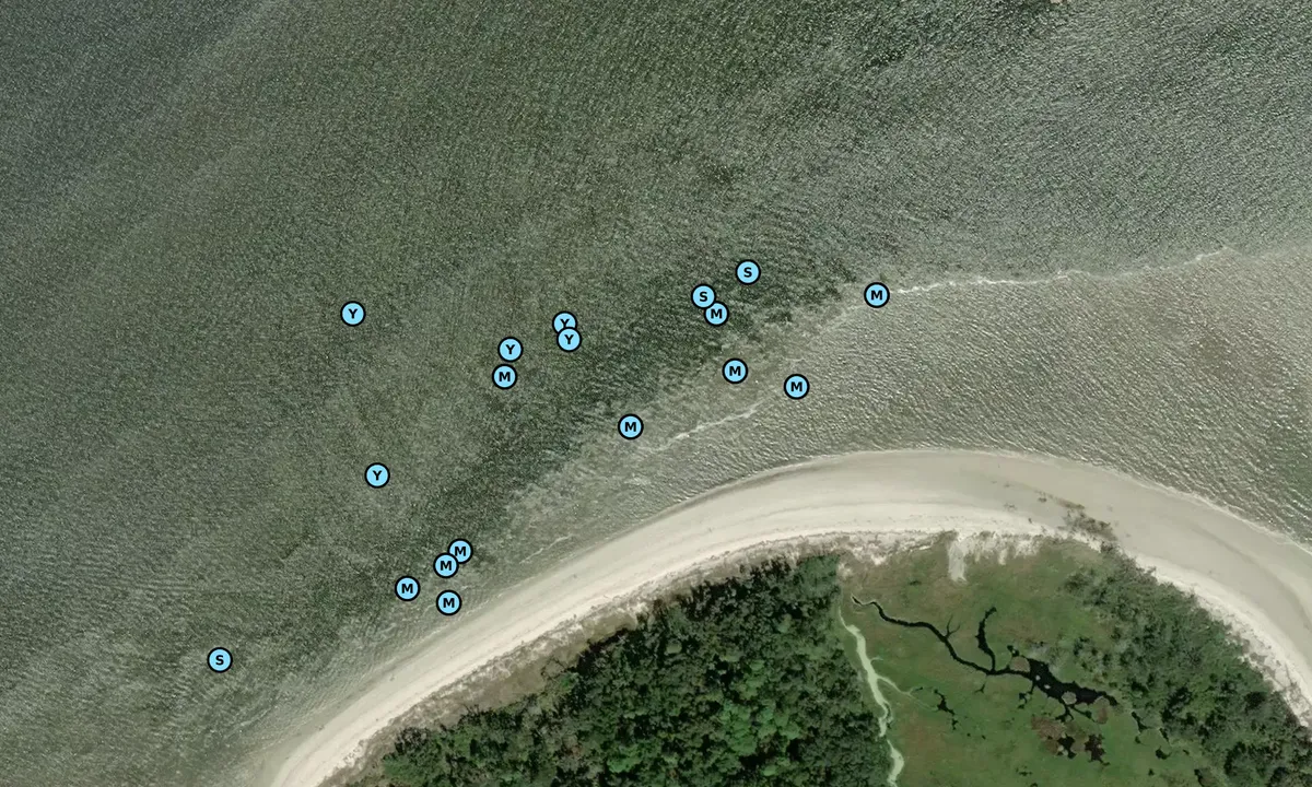 Satelite image of Driftwood Beach