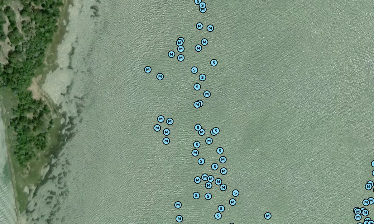 Satelite image of Drum Point Island