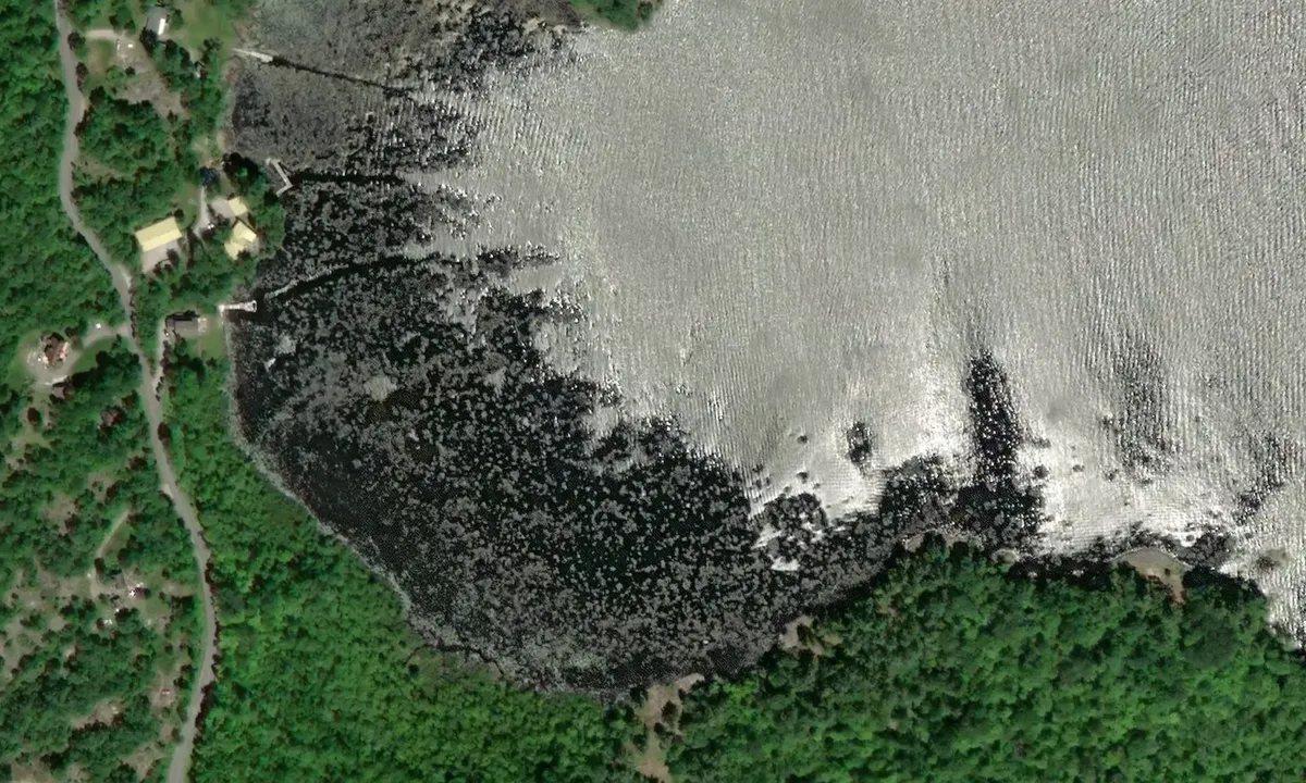 Satelite image of Duck Bay, Lake Sparrow