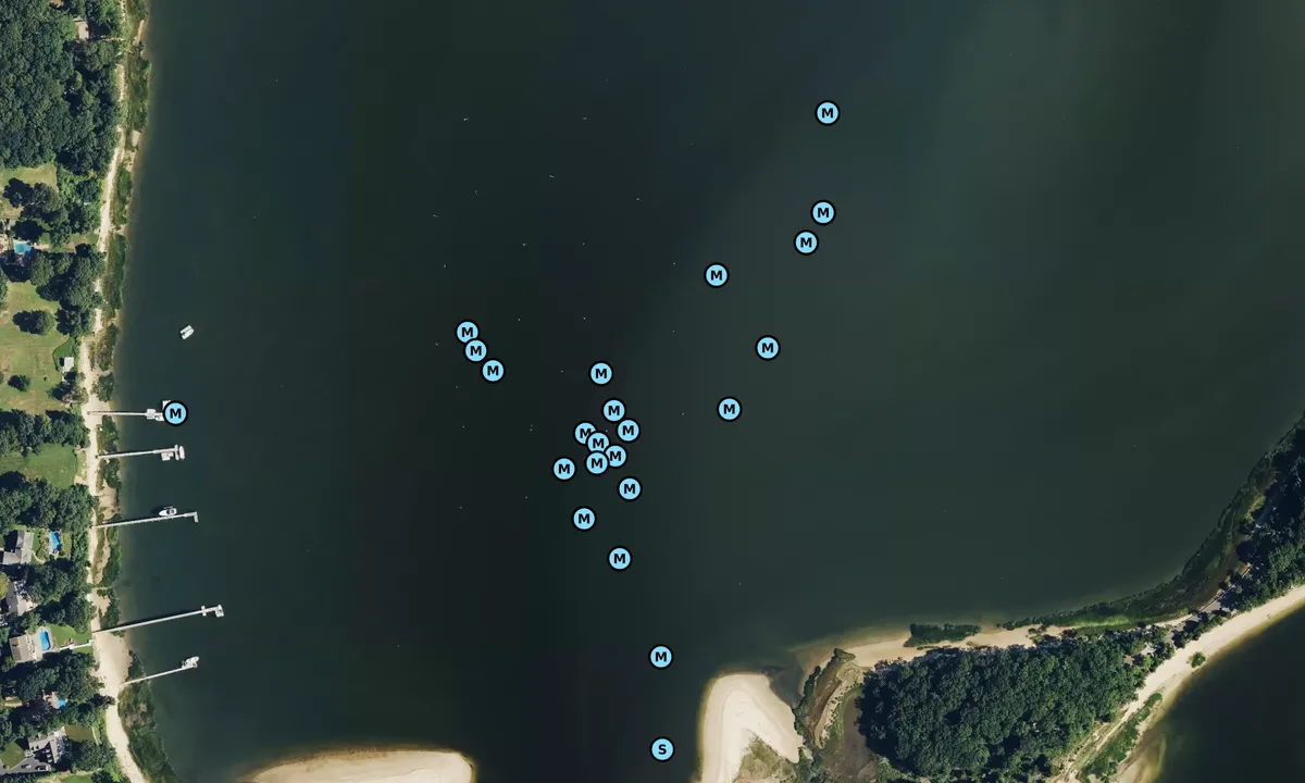 Satelite image of Duck Island Harbor