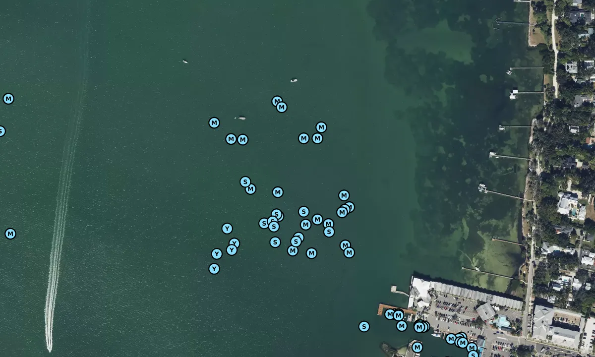 Satelite image of Dunedin