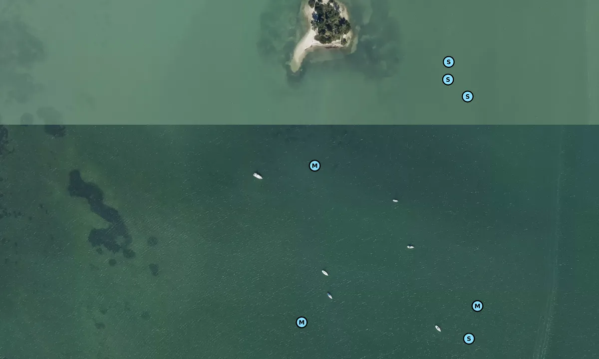 Satelite image of Dunedin West