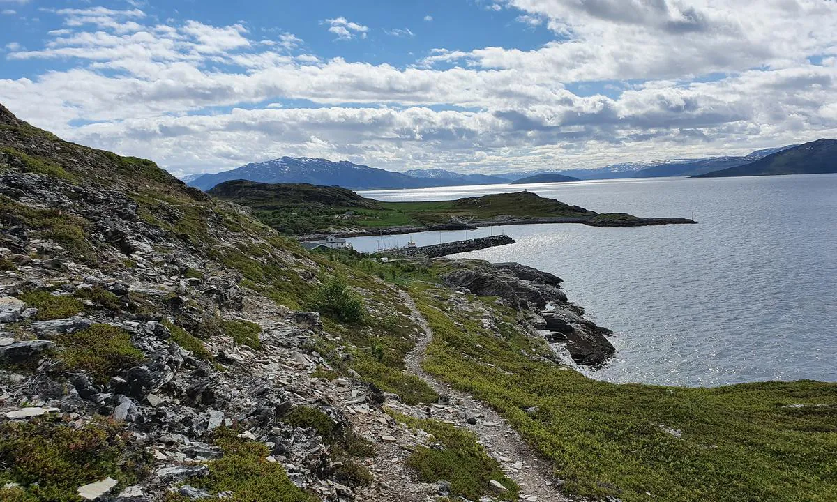 Dunvik Havn: Havna sett nordfra.