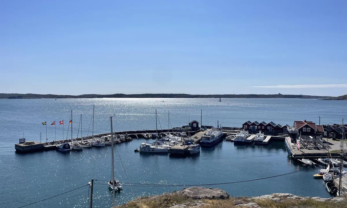 Dyrön - Sydhamnen: Utsikt över hamnen från ”blå leden” uppe på berget