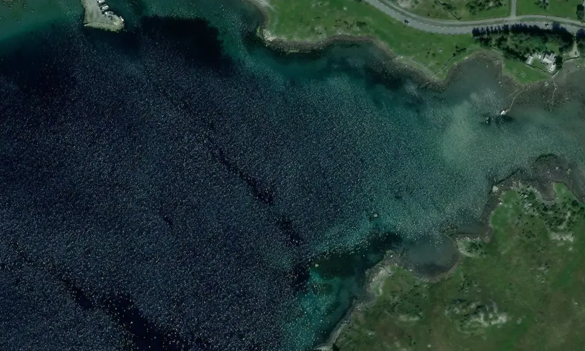 Satelite image of Dysjalandsvågen