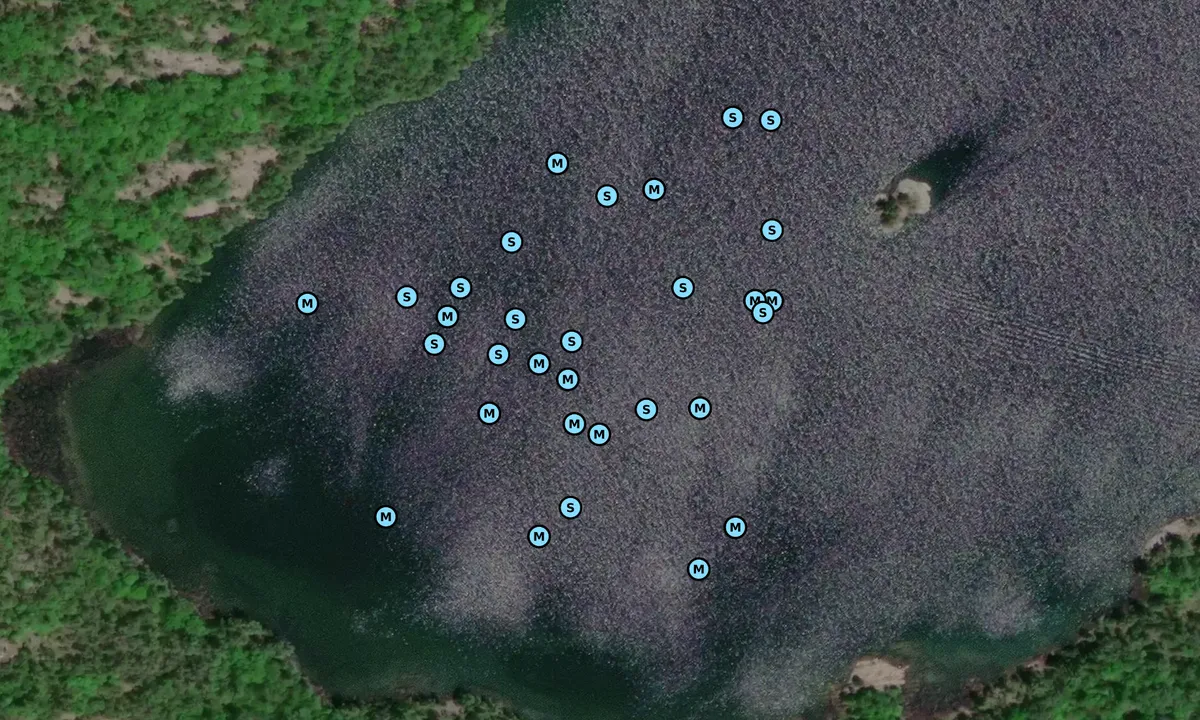 Satelite image of Eagle Island