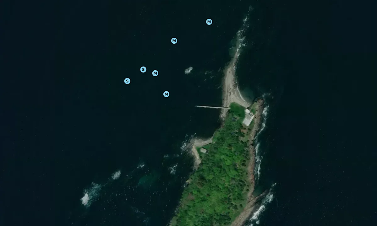 Satelite image of Eagle Island State Park - Harpswell