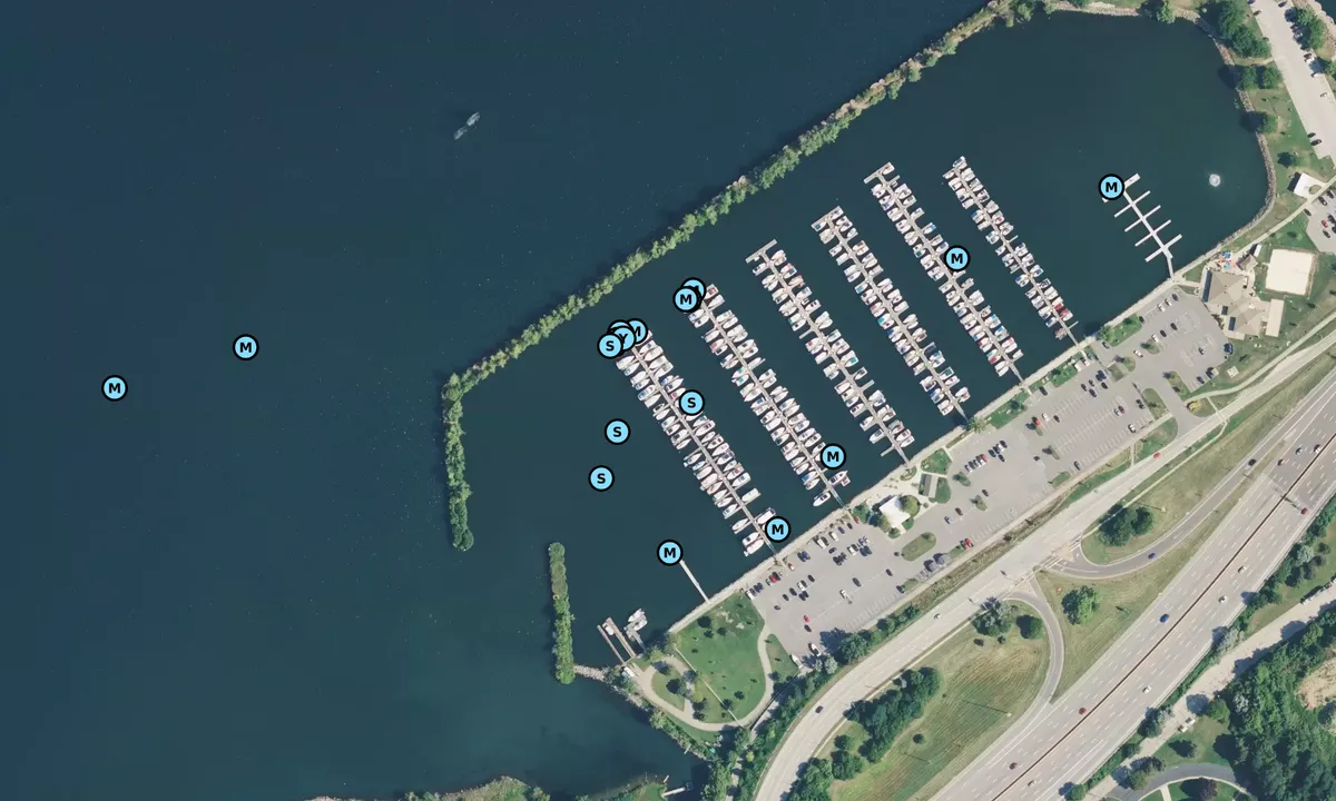 Satelite image of East 55th Street Marina - Cuyahoga
