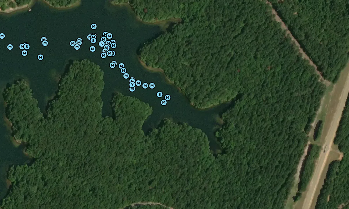 Satelite image of East Cotton Springs
