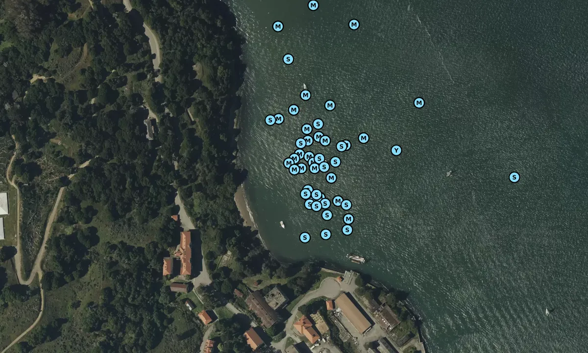 Satelite image of East Garrison (Hospital)