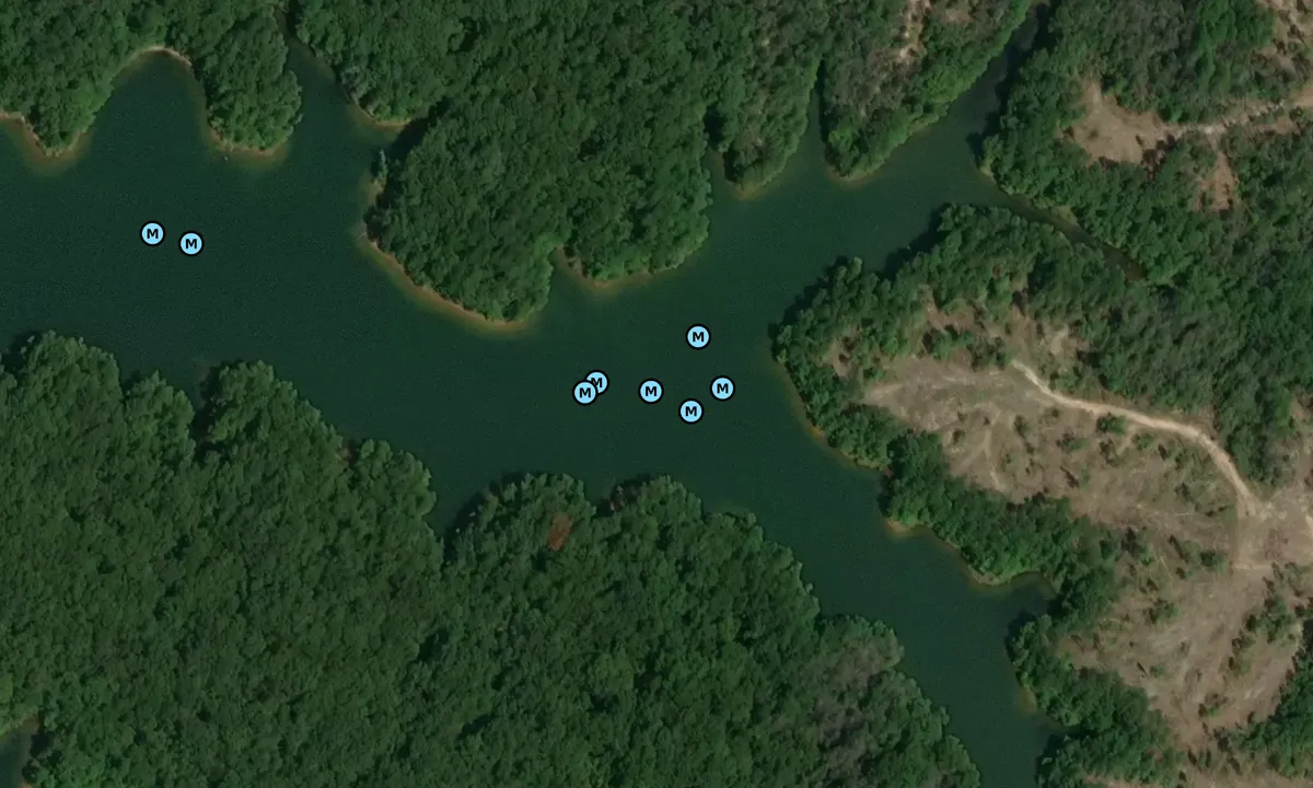 Satelite image of East Mississippi Finger