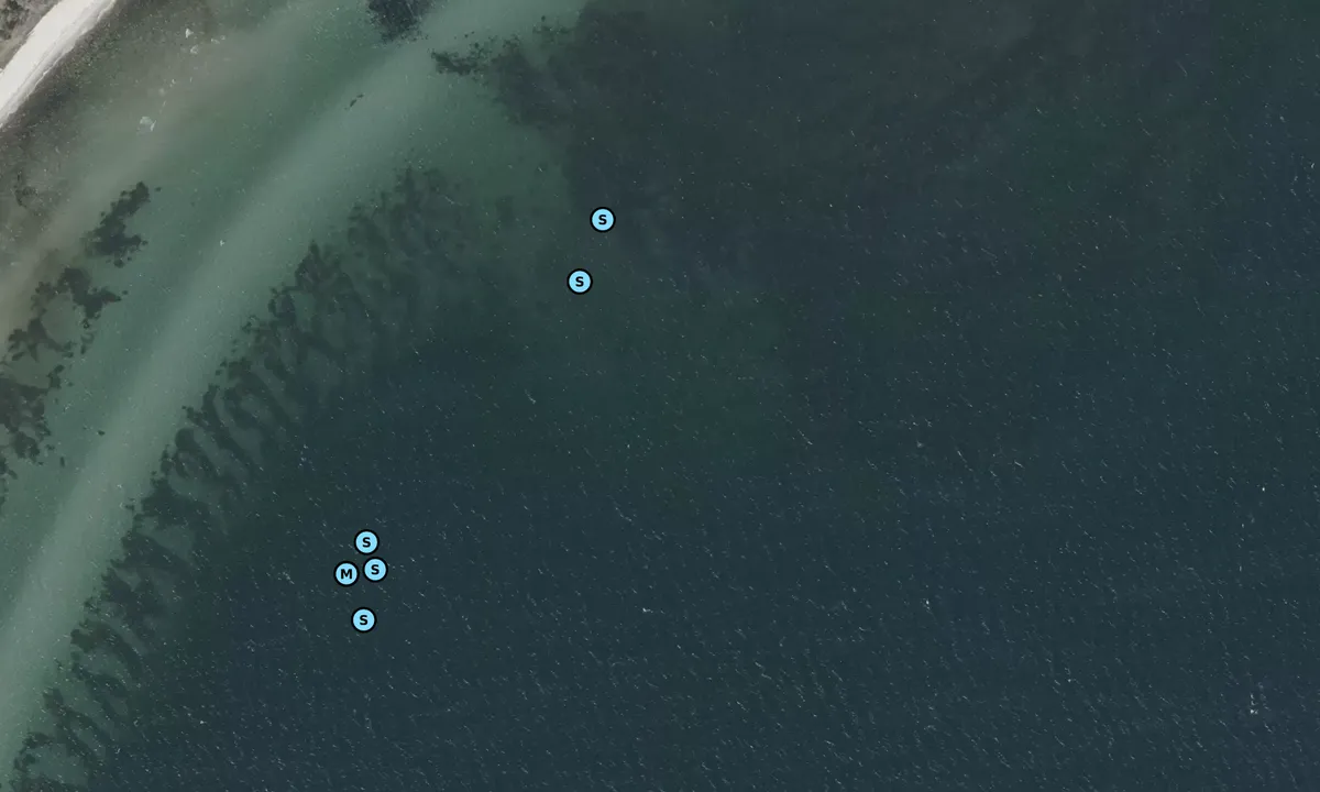 Satelite image of Ebeltoft Vig