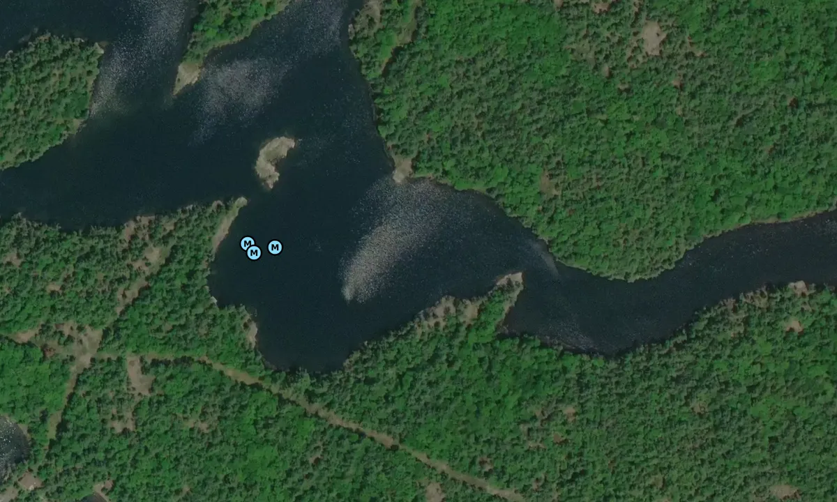 Satelite image of Echo Bay - South