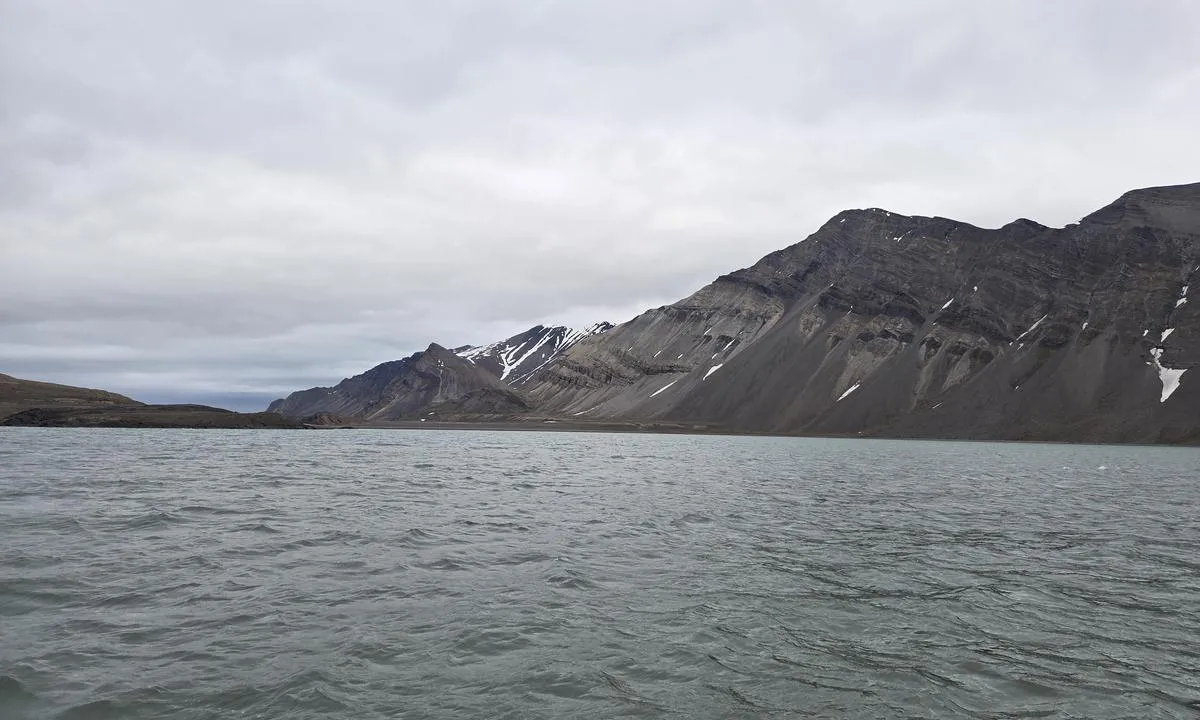 Eholmen - Svalbard: Hele Van Keulenbukta fra syd - hvorfra den er mest åpen.