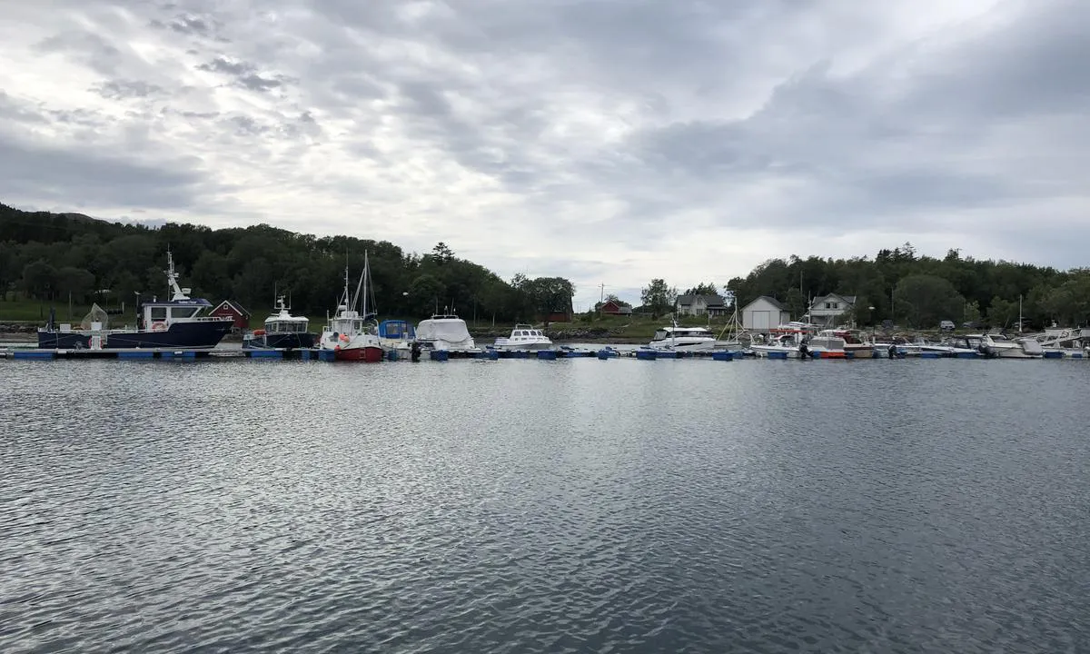 Eidshaug Båtforening