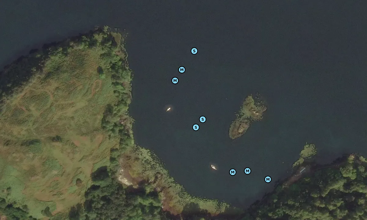 Satelite image of Eilean Aoinidh