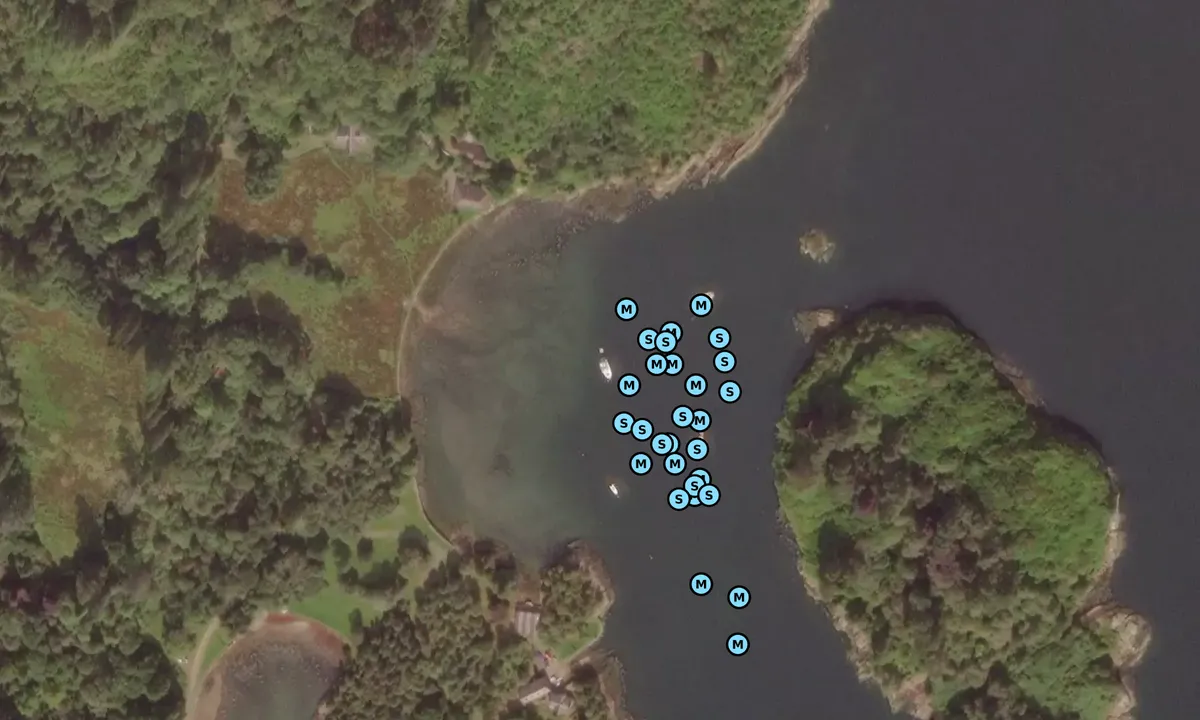 Satelite image of Eilean Dubh, Kyles of Bute