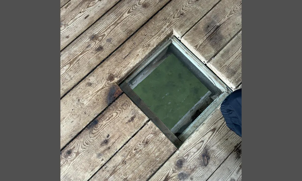 Ekkerøy: {"base": "no", "no": "Fra restauranten kan du f\u00f8lge med p\u00e5 hva som skjer i sj\u00f8en under deg.", "se": "Fr\u00e5n restaurangen kan du f\u00f6lja med p\u00e5 vad som h\u00e4nder i havet under dig.", "en": "From the restaurant, you can follow what is happening in the sea below you.", "da": "Fra restauranten kan du f\u00f8lge med i, hvad der sker i havet under dig.", "fr": "Depuis le restaurant, vous pouvez suivre ce qui se passe dans la mer sous vos pieds.", "de": "Von dem Restaurant aus k\u00f6nnen Sie das Geschehen im Meer unter Ihnen beobachten.", "es": "Desde el restaurante, puedes observar lo que sucede en el mar debajo de ti.", "it": "Dal ristorante, puoi seguire ci\u00f2 che accade nel mare sotto di te.", "pt": "Do restaurante, voc\u00ea pode acompanhar o que acontece no mar abaixo de voc\u00ea.", "nl": "Vanaf het restaurant kunt u volgen wat er in de zee onder u gebeurt.", "pl": "Z restauracji mo\u017cesz obserwowa\u0107, co dzieje si\u0119 w morzu pod tob\u0105.", "uk": "\u0417 \u0440\u0435\u0441\u0442\u043e\u0440\u0430\u043d\u0443 \u0432\u0438 \u043c\u043e\u0436\u0435\u0442\u0435 \u0441\u043f\u043e\u0441\u0442\u0435\u0440\u0456\u0433\u0430\u0442\u0438 \u0437\u0430 \u0442\u0438\u043c, \u0449\u043e \u0432\u0456\u0434\u0431\u0443\u0432\u0430\u0454\u0442\u044c\u0441\u044f \u0432 \u043c\u043e\u0440\u0456 \u043f\u0456\u0434 \u0432\u0430\u043c\u0438.", "ro": "De la restaurant, po\u021bi s\u0103 urm\u0103re\u0219ti ce se \u00eent\u00e2mpl\u0103 \u00een mare sub tine.", "tr": "Restorandan, alt\u0131ndaki denizde neler oldu\u011funu takip edebilirsin.", "el": "\u0391\u03c0\u03cc \u03c4\u03bf \u03b5\u03c3\u03c4\u03b9\u03b1\u03c4\u03cc\u03c1\u03b9\u03bf \u03bc\u03c0\u03bf\u03c1\u03b5\u03af\u03c4\u03b5 \u03bd\u03b1 \u03c0\u03b1\u03c1\u03b1\u03ba\u03bf\u03bb\u03bf\u03c5\u03b8\u03ae\u03c3\u03b5\u03c4\u03b5 \u03c4\u03b9 \u03c3\u03c5\u03bc\u03b2\u03b1\u03af\u03bd\u03b5\u03b9 \u03c3\u03c4\u03b7 \u03b8\u03ac\u03bb\u03b1\u03c3\u03c3\u03b1 \u03ba\u03ac\u03c4\u03c9 \u03b1\u03c0\u03cc \u03b5\u03c3\u03ac\u03c2.", "cs": "Z restaurace m\u016f\u017eete sledovat, co se d\u011bje na mo\u0159i pod v\u00e1mi.", "hu": "Az \u00e9tteremb\u0151l nyomon k\u00f6vetheted, mi t\u00f6rt\u00e9nik alattad a tengeren.", "fi": "Ravintolasta voit seurata, mit\u00e4 meren alla tapahtuu.", "bg": "\u041e\u0442 \u0440\u0435\u0441\u0442\u043e\u0440\u0430\u043d\u0442\u0430 \u043c\u043e\u0436\u0435\u0442\u0435 \u0434\u0430 \u043d\u0430\u0431\u043b\u044e\u0434\u0430\u0432\u0430\u0442\u0435 \u0441\u043b\u0443\u0447\u0432\u0430\u0449\u043e\u0442\u043e \u0441\u0435 \u0432 \u043c\u043e\u0440\u0435\u0442\u043e \u043f\u043e\u0434 \u0432\u0430\u0441.", "sr": "Iz restorana mo\u017eete pratiti \u0161ta se de\u0161ava u moru ispod vas.", "et": "Restoranist saab j\u00e4lgida, mis toimub mere peal sinu all.", "lv": "No restor\u0101na varat sekot l\u012bdzi tam, kas notiek j\u016br\u0101 zem jums.", "lt": "I\u0161 restorano galite steb\u0117ti, kas vyksta j\u016broje po jumis."}