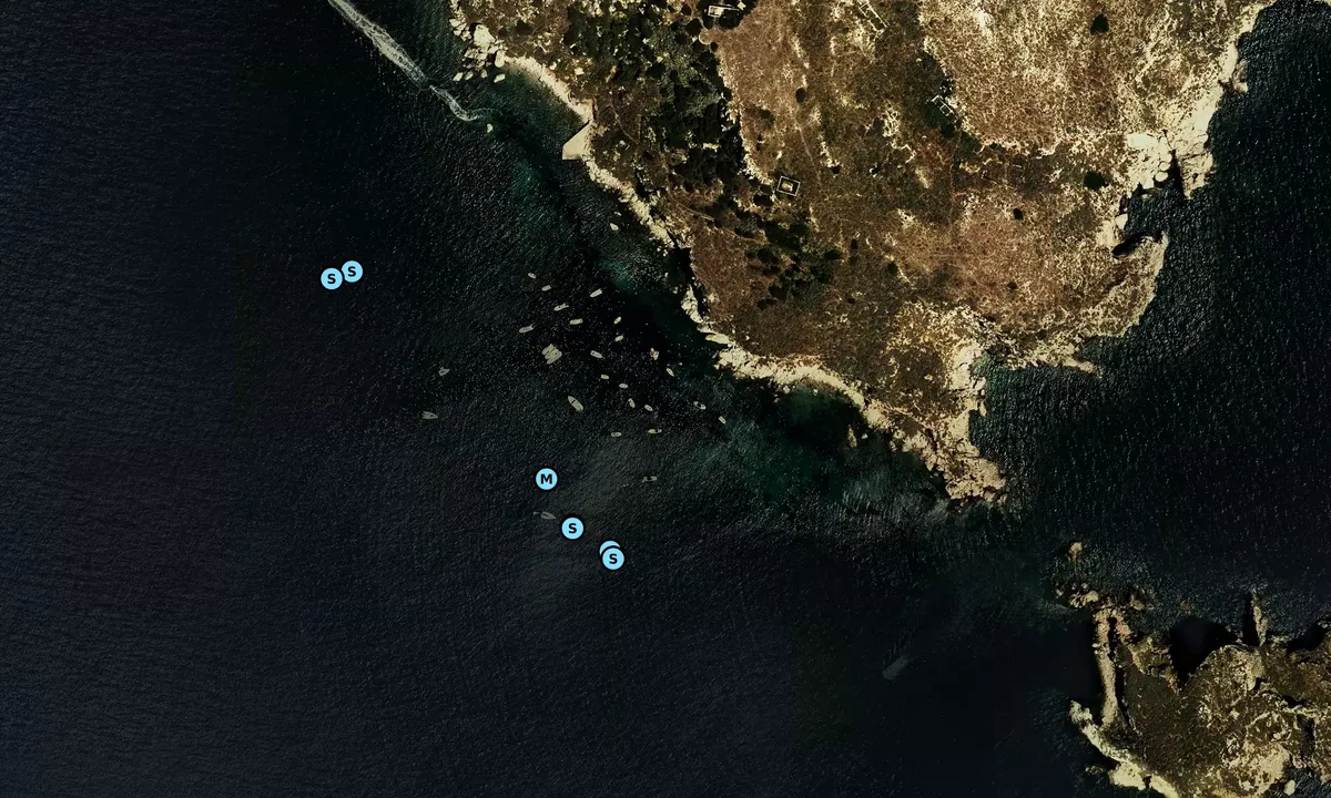 Satelite image of El Freuetó