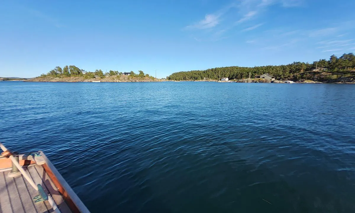 Elvikbukta - Ringholmen