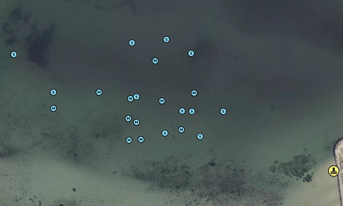 Satelite image of Endelave bay