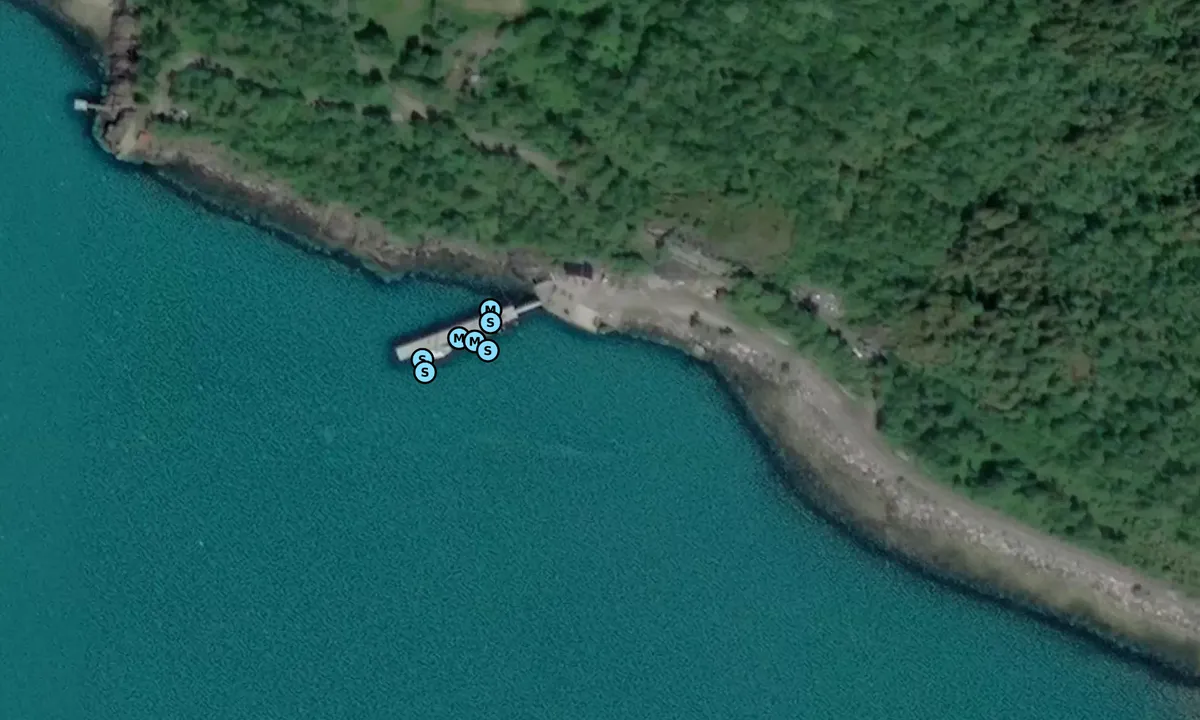 Satelite image of Engen brygge