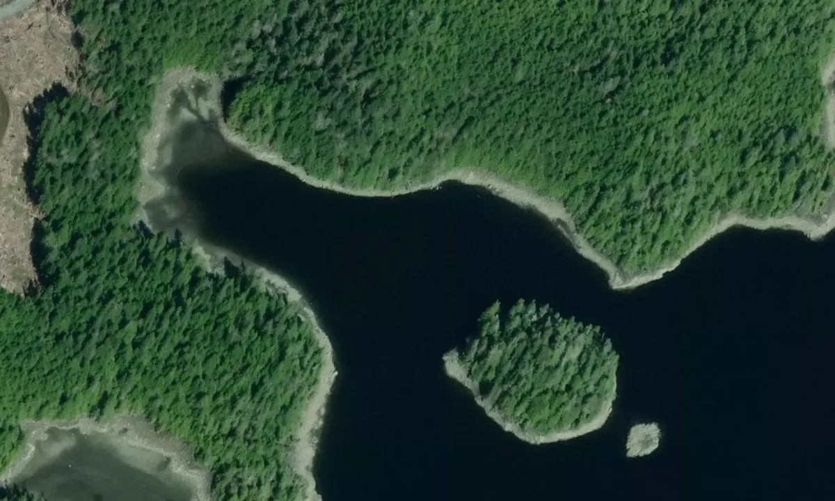 Satelite image of England Cove