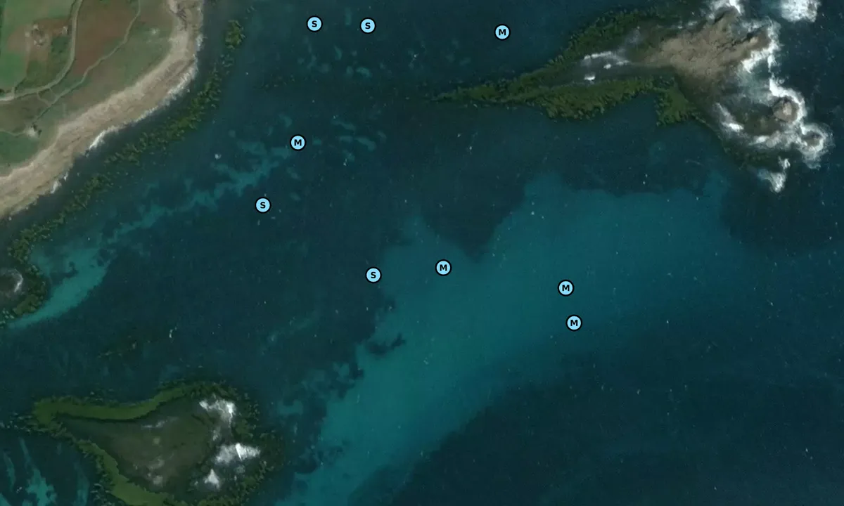 Satelite image of English Island