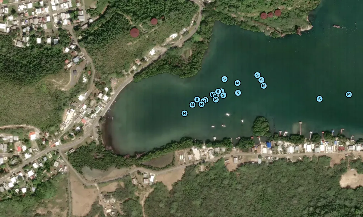 Satelite image of Ensenada de Guanica