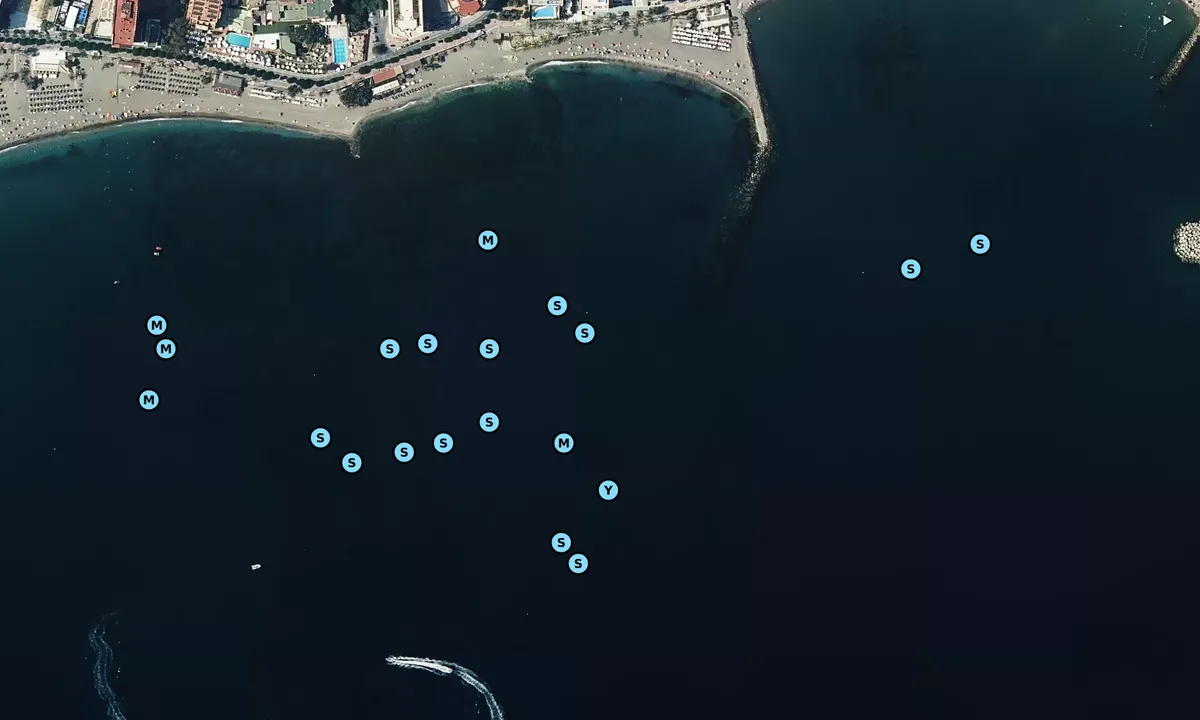 Satelite image of Ensenada de Marbella