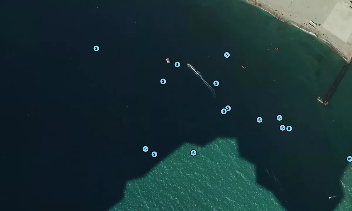 Satelite image of Ensenada de San Miguel
