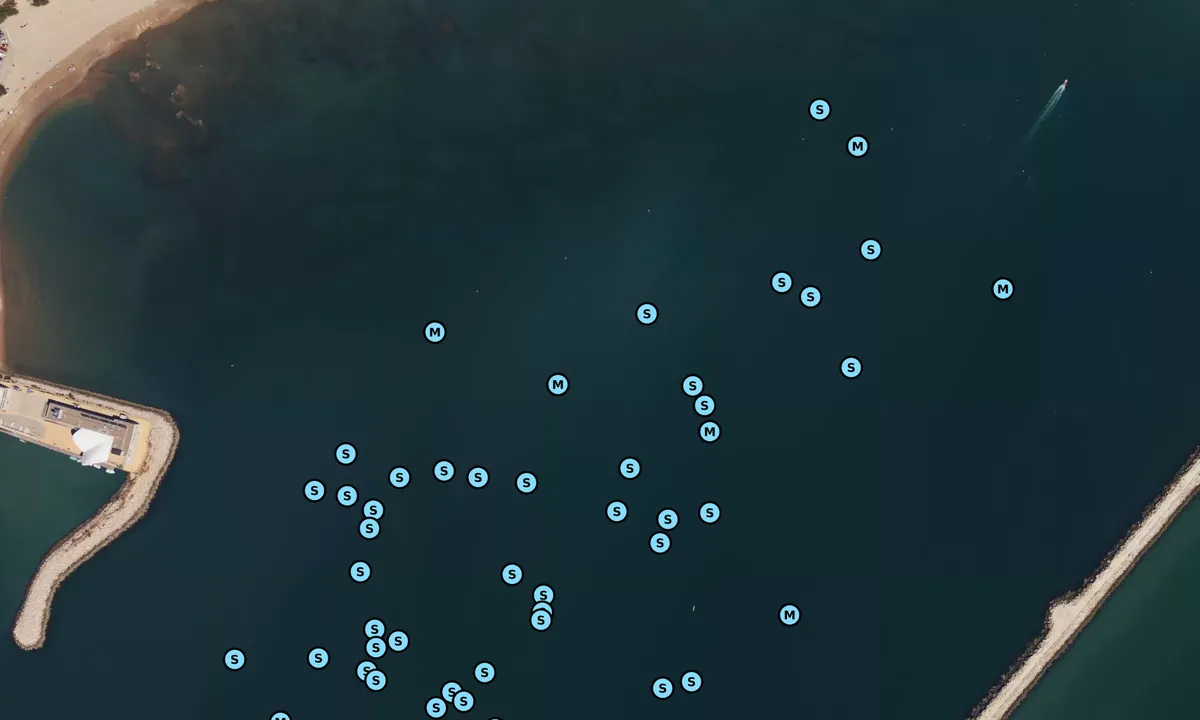 Satelite image of Ensenada del Aculadero