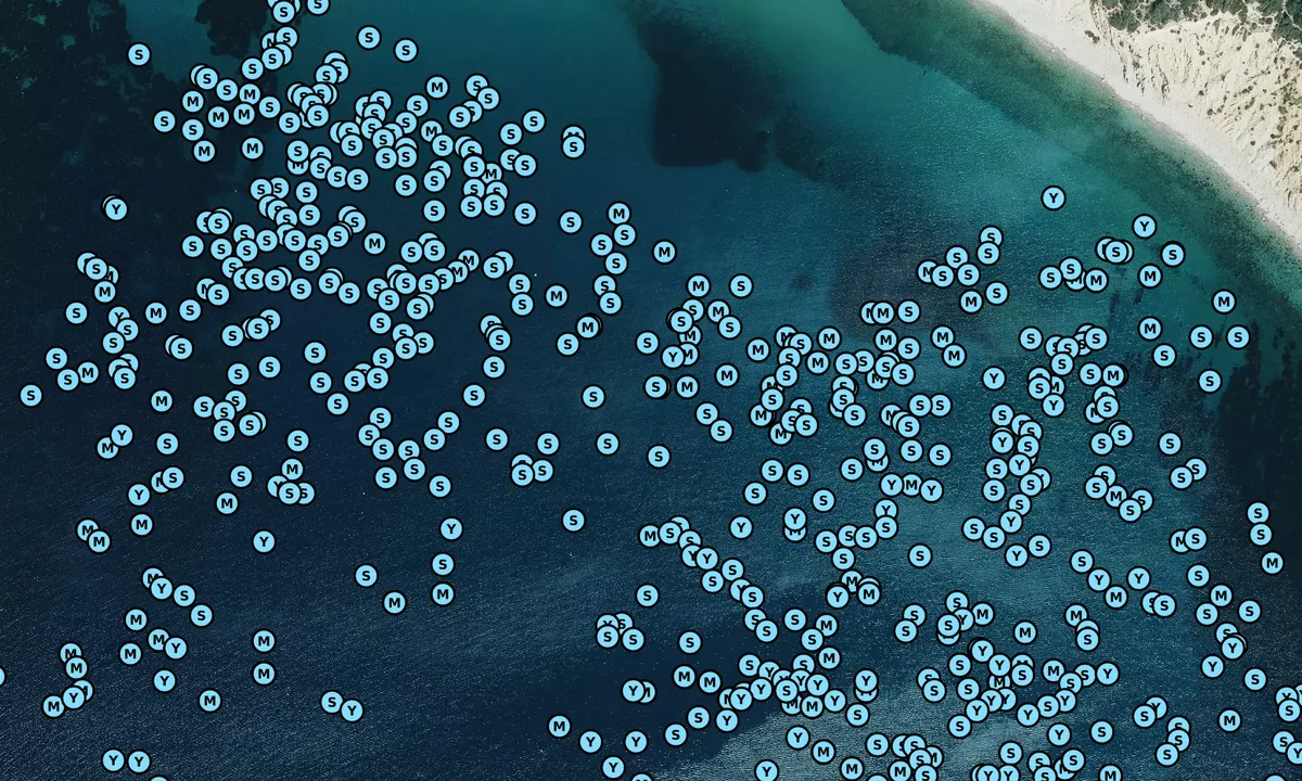 Satelite image of Es Jondal