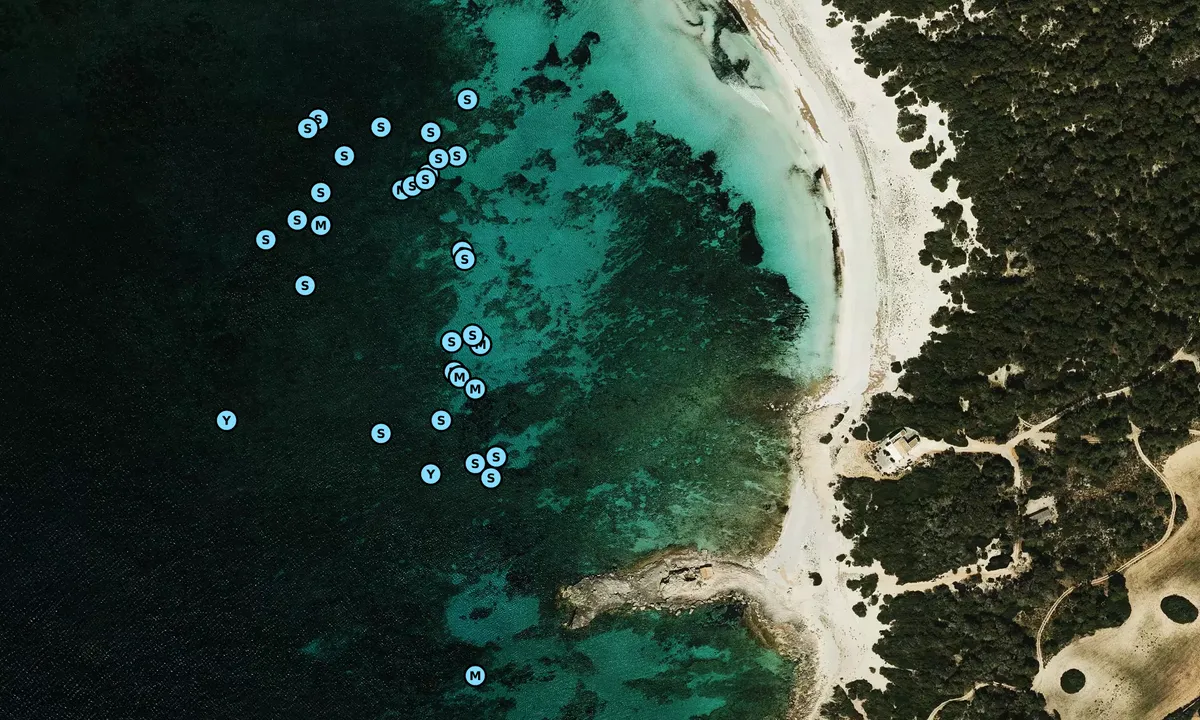 Satelite image of Es Raco de sa Punta Negra