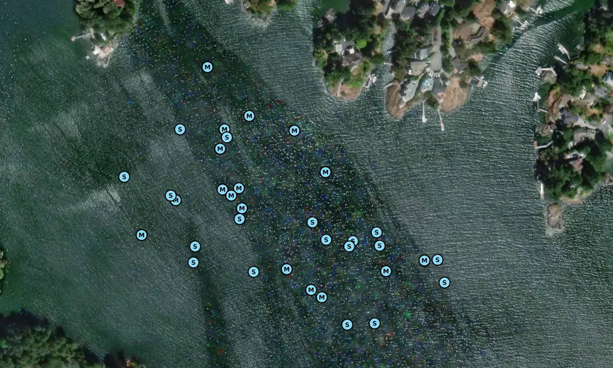 Satelite image of Esquimalt Harbour