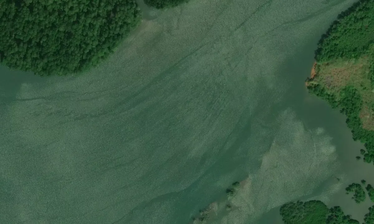 Satelite image of Estero Cate