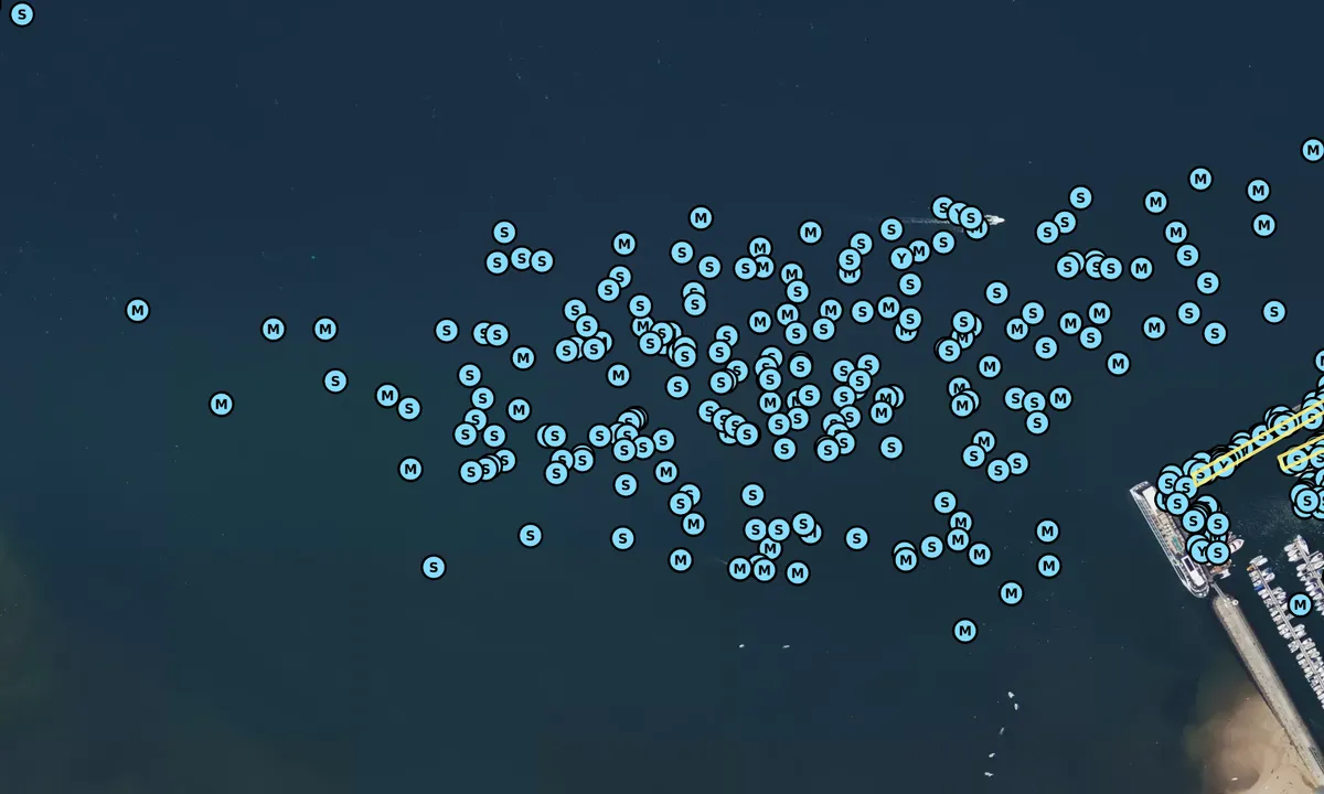 Satelite image of Estuário do Douro