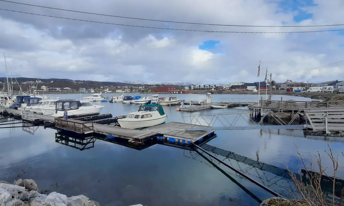 Evenskjær
