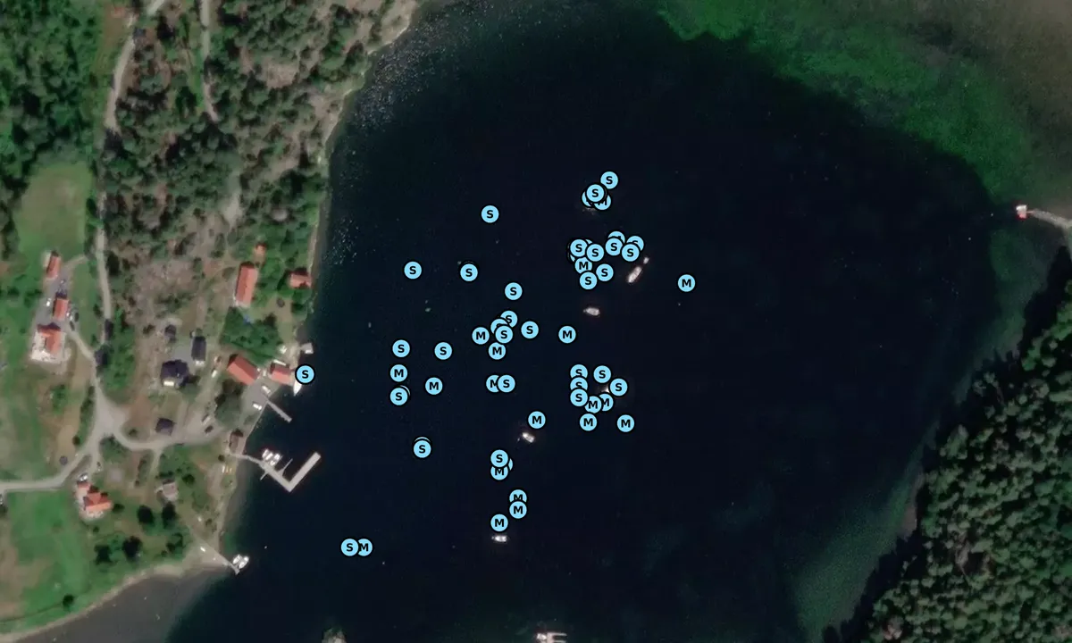 Satelite image of Evjesund