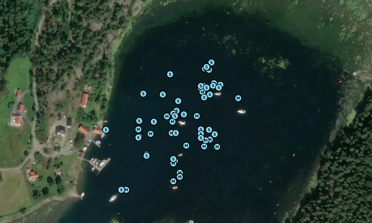 Satelite image of Evjesund