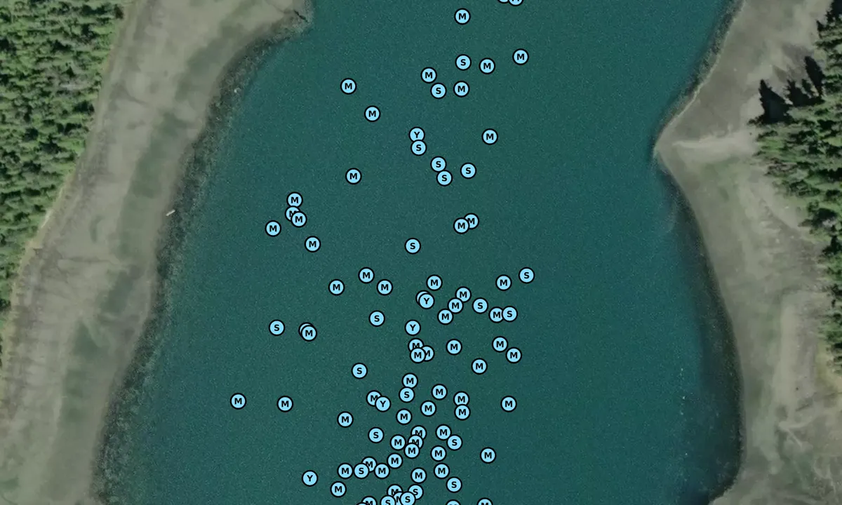 Satelite image of Exchange Cove