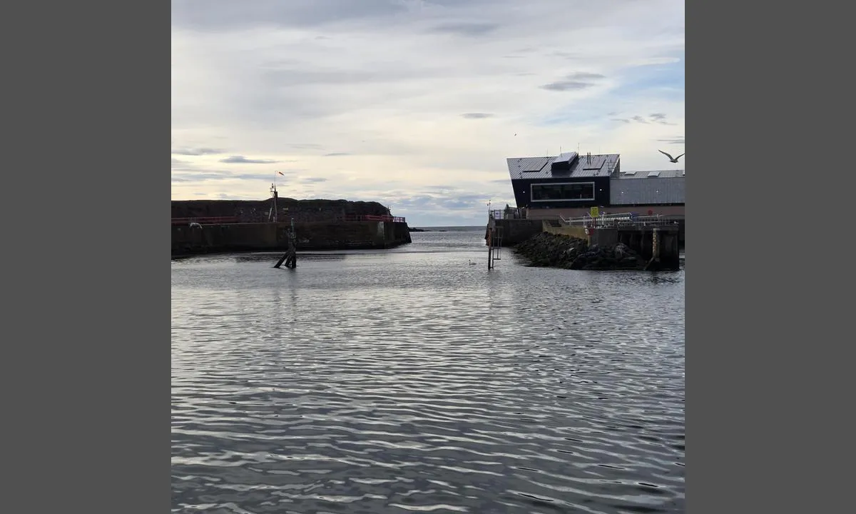 Eyemouth Harbour: Innløpet