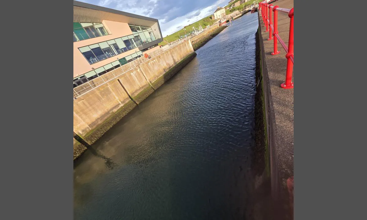 Eyemouth Harbour: {"base": "no", "no": "Innl\u00f8pet - 18m brett.(med svell?)\r\nBlindsone til babord.", "se": "Inloppet - 18m brett.(med svall?)<br>Blindzon till babord.", "en": "The entrance - 18m wide. (with swell?)<br>Blind spot to port.", "da": "Indl\u00f8bet - 18m bredt.(med d\u00f8nning?)<br>Blind vinkel til bagbord.", "fr": "L'entr\u00e9e - 18 m de large (avec houle?).<br>Zone morte \u00e0 b\u00e2bord.", "de": "Die Einfahrt - 18m breit (mit D\u00fcnung?). Toter Winkel nach Backbord.", "es": "La entrada - 18m de ancho. (\u00bfcon marejada?)<br>Zona ciega a babor.", "it": "L'ingresso - Larghezza 18m (con mareggiate?)<br>Zona cieca a sinistra.", "pt": "Entrada - 18m de largura. (com ondula\u00e7\u00e3o?)<br>Zona cega a bombordo.", "nl": "Ingang - 18m breed. (met deining?) Blinde hoek aan bakboord.", "pl": "Wej\u015bcie - 18m szerokie. (z falowaniem?) Martwa strefa na lewej burcie.", "uk": "\u0412\u0445\u0456\u0434 - 18 \u043c \u0437\u0430\u0432\u0448\u0438\u0440\u0448\u043a\u0438.<br>(\u0456\u0437 \u0445\u0432\u0438\u043b\u044e\u0432\u0430\u043d\u043d\u044f\u043c\u0438?)<br>\u0421\u043b\u0456\u043f\u0430 \u0437\u043e\u043d\u0430 \u043f\u043e \u043b\u0456\u0432\u043e\u043c\u0443 \u0431\u043e\u0440\u0442\u0443.", "ro": "Intrarea - l\u0103\u021bime de 18m. (cu valuri?)<br>Zona oarb\u0103 la babord.", "tr": "Giri\u015f - 18m geni\u015flik. (dalga ile?) \u0130skele taraf\u0131nda k\u00f6r nokta.", "el": "\u0397 \u03b5\u03af\u03c3\u03bf\u03b4\u03bf\u03c2 - 18m \u03c0\u03bb\u03ac\u03c4\u03bf\u03c2 (\u03bc\u03b5 \u03c0\u03c1\u03ae\u03be\u03b9\u03bc\u03bf;) \u03a4\u03c5\u03c6\u03bb\u03cc \u03c3\u03b7\u03bc\u03b5\u03af\u03bf \u03c0\u03c1\u03bf\u03c2 \u03b1\u03c1\u03b9\u03c3\u03c4\u03b5\u03c1\u03ac.", "cs": "Vjezd - 18 m \u0161irok\u00fd. (se zvln\u011bn\u00edm?)<br>Slep\u00e1 z\u00f3na na levoboku.", "hu": "A bej\u00e1rat - 18 m\u00e9ter sz\u00e9les (hull\u00e1mz\u00e1ssal?).<br>Vakz\u00f3na baloldalon.", "fi": "Sis\u00e4\u00e4ntulo - 18 m leve\u00e4. (mainingit mukana?) Sokea alue paapuurissa.", "bg": "\u0412\u0445\u043e\u0434 - 18\u043c \u0448\u0438\u0440\u0438\u043d\u0430. (\u0441\u0432\u044a\u043b?)<br>\u0421\u043b\u0435\u043f\u0430 \u0437\u043e\u043d\u0430 \u043d\u0430\u043b\u044f\u0432\u043e.", "sr": "\u0423\u043b\u0430\u0437 - \u0448\u0438\u0440\u0438\u043d\u0430 18\u043c.(\u0441\u0430 \u0443\u0437\u0431\u0443\u0440\u043a\u0430\u043d\u043e\u043c \u0432\u043e\u0434\u043e\u043c?)<br>\u0421\u043b\u0435\u043f\u0430 \u0437\u043e\u043d\u0430 \u043d\u0430 \u043b\u0435\u0432\u043e\u0458 \u0441\u0442\u0440\u0430\u043d\u0438.", "et": "Sisses\u00f5it - 18m laiune. (lainetus?) Pimeala vasakule.", "lv": "Ieeja - 18 m plata. (ar paisumu?) Neredzam\u0101 zona uz kreis\u0101 borta.", "lt": "\u012eplaukimas - 18 m plo\u010dio. (su banga?)<br>Neu\u017ematoma zona kair\u0117je borto pus\u0117je."}
