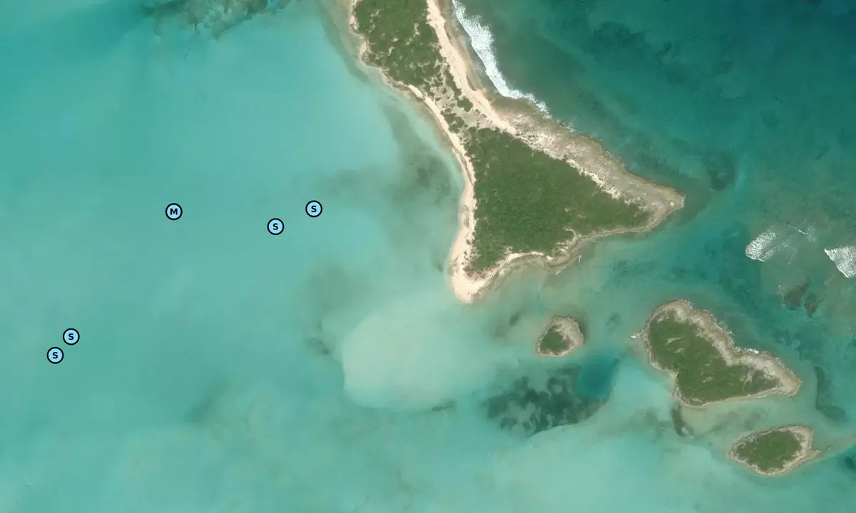 Satelite image of Fake Pig Island
