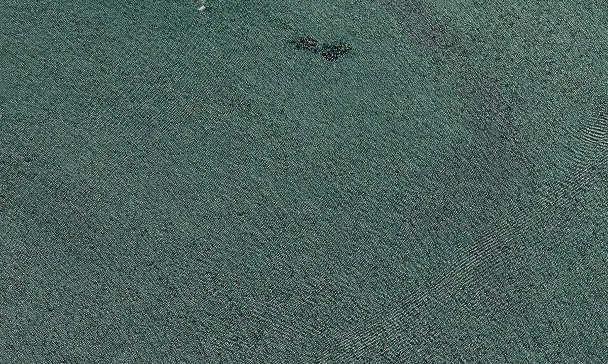 Satelite image of Falkenberg bay