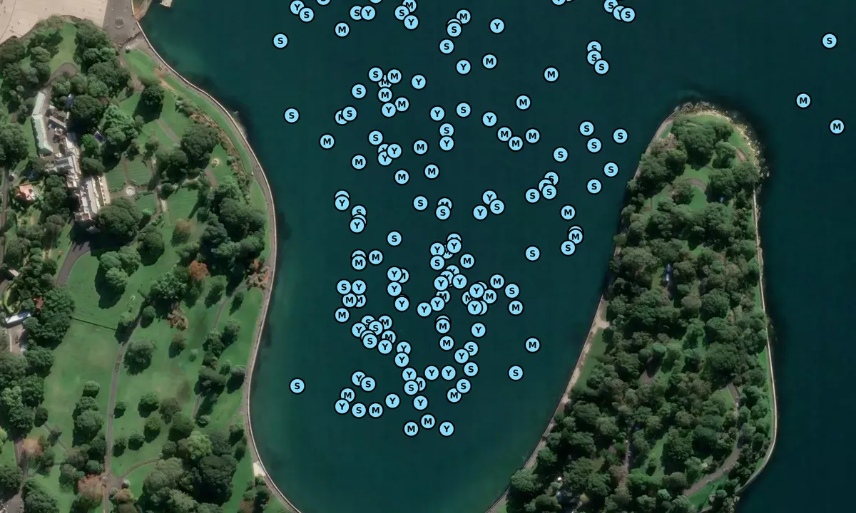 Satelite image of Farm Cove