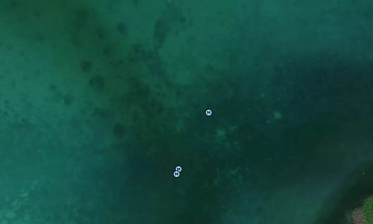 Satelite image of Fat Deer Key